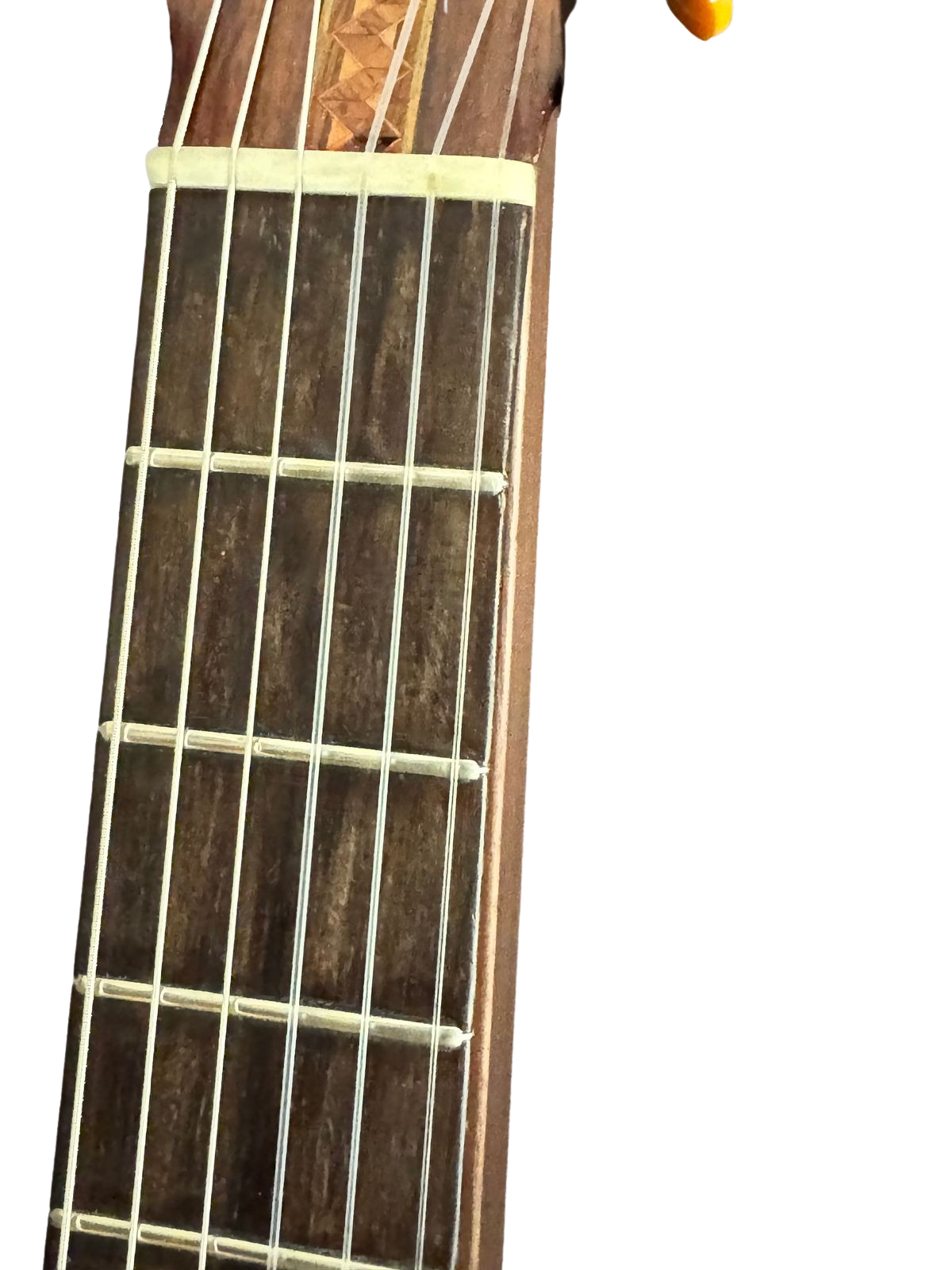 Close-up of fretboard inlay
